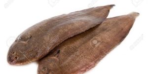 Frozen Sole Fish
