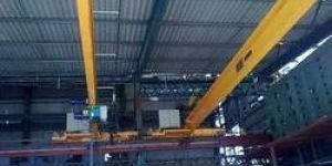 Double Beam EOT Cranes