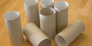 Sanitary Toilet Tubes