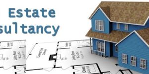 Real Estate Consultancy