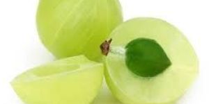 Fresh Amla