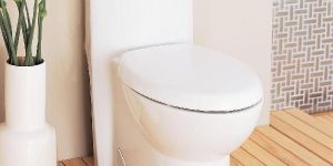 Floor Mounted Water Closet