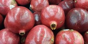 Fresh Pomegranate