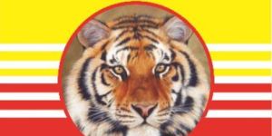 Acephate 75% SP Systemic And Contact Insecticide