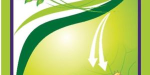 Acetamiprid 20% SP Insecticide