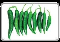 Fresh Green Chilli