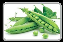 Fresh Green Peas