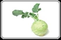 Fresh Kohlrabi
