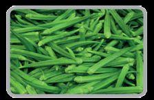 Fresh Ladies Fingers