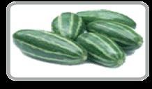 Fresh Pointed Gourds