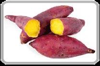 Fresh Sweet Potato
