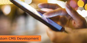 Custom CMS