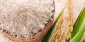 Non Basmati Ponni Rice