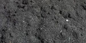 Rice Husk Ash Carbon