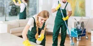 Professional Housekeeping Services