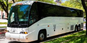 Bus Rental Services