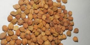 Whole Chana