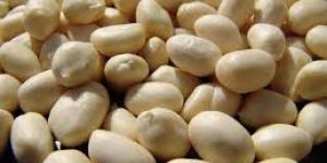 Blanched Groundnuts