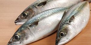 Fresh Surmai Fish