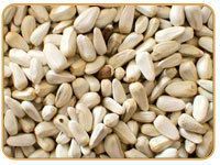 American Saffron Seeds