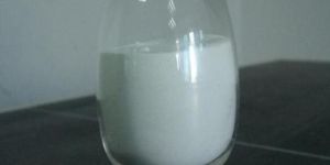 Chondroitin Sulphate