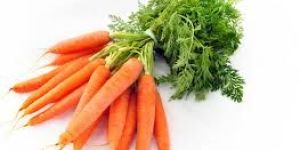 Fresh Carrot