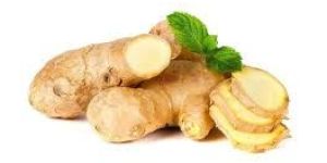 Fresh Ginger
