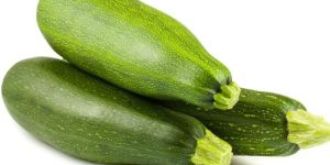 Fresh Green Zucchini