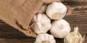 Supplier Management Service