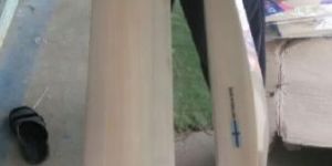 Crickets Willow Bats