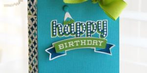 Birthday Return Gift Carry Bags