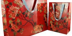 Imported Art Card Paper Bags