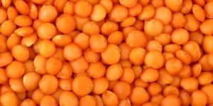 Red Lentils