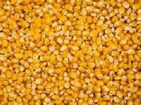 Raw Maize