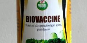 Chitosan Olligosaccharides