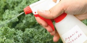Organic Pesticides