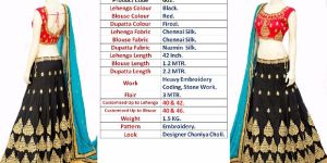 Wedding Designer Lehanga Choli