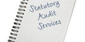 Statutory Audit Services