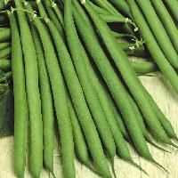 French Beans Seeds