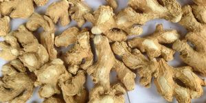 High Purity Dehydrated Ginger Dry
