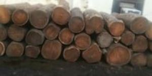 Sheesham Wood Logs
