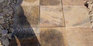 Fossil Mint Sandstone