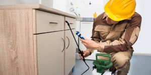 Pest Control Management Services