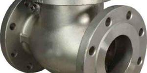 Stainless Steel Check Valves
