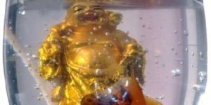 Laughing Buddha Gel Wax Candle