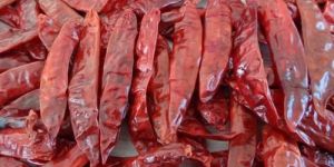 334 or Sanam Dried Red Chilli