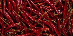 Dried Red Chilli