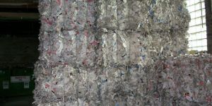 Unprinted Bleached Board