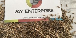 Cumin Seed