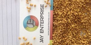 Fenugreek Seed
